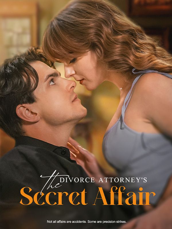 The Divorce Attorney's Secret Affair
